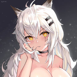 This is a pixiv picture whose title is Lappland.