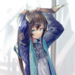This is a pixiv picture whose title is アーミヤ.