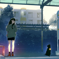 This is a pixiv picture whose title is 君はどこまで.