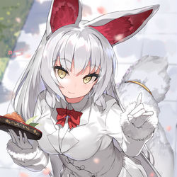 This is a pixiv picture whose title is オイナリサマ.