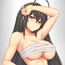 This is a pixiv picture whose title is 大鳳.