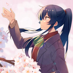This is a pixiv picture whose title is 『桜』.