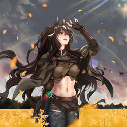 This is a pixiv picture whose title is Meteor.