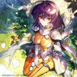 This is a pixiv picture whose title is ラングリッサーモバイル.