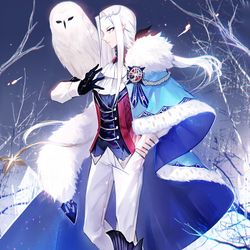 This is a pixiv picture whose title is 白銀の王様.