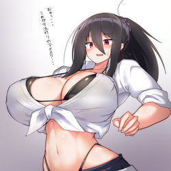 This is a pixiv picture whose title is うちのこアメスク.