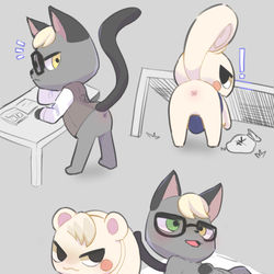 This is a pixiv picture whose title is 島に来ない.