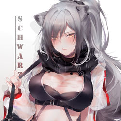 This is a pixiv picture whose title is SCHWARZ.
