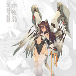 This is a pixiv picture whose title is 赤夜枭02.