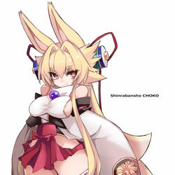 This is a pixiv picture whose title is 白面金剛九尾のイヅナさん.