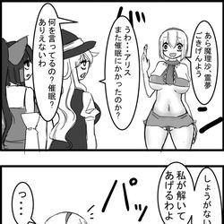 This is a pixiv picture whose title is 東方大体四コマ漫画.