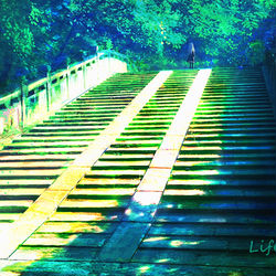 This is a pixiv picture whose title is 荫.