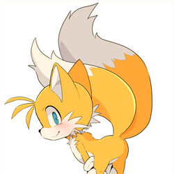 This is a pixiv picture whose title is テイルス.