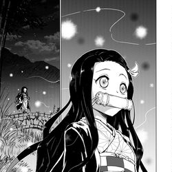 This is a pixiv picture whose title is 禰豆子のよるさんぽ　②.