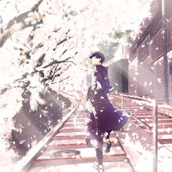 This is a pixiv picture whose title is 桜坂.