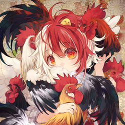 This is a pixiv picture whose title is 群鶏図.