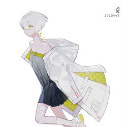 This is a pixiv picture whose title is 不明枝.