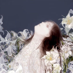 This is a pixiv picture whose title is lily., pure white.