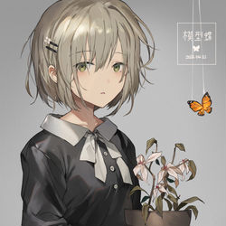 This is a pixiv picture whose title is 模型蝶.