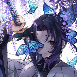 This is a pixiv picture whose title is しのぶさん.