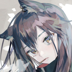 This is a pixiv picture whose title is テキサス.