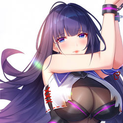 This is a pixiv picture whose title is 芽衣.