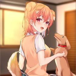 This is a pixiv picture whose title is イヌガハマさん.