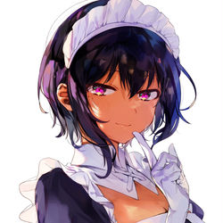 This is a pixiv picture whose title is 最近雇ったメイドが怪しいとジャヒー様つめあわせ.