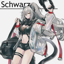 This is a pixiv picture whose title is シュヴァルツ.