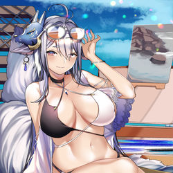 This is a pixiv picture whose title is 土佐.