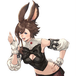 This is a pixiv picture whose title is ヴィエラバニー.