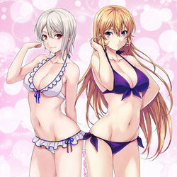 This is a pixiv picture whose title is えりな様＆アリス様.
