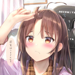 This is a pixiv picture whose title is 切りすぎた….