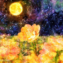 This is a pixiv picture whose title is 月見草.