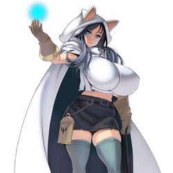 This is a pixiv picture whose title is 盗賊.