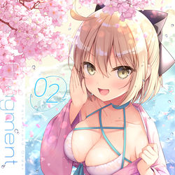 This is a pixiv picture whose title is 【新刊②】FGO本.