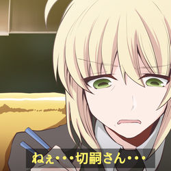 This is a pixiv picture whose title is 衛宮さんちの今日の貧乏飯「特製青椒肉絲」.