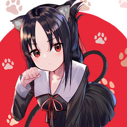 This is a pixiv picture whose title is 猫耳かぐや様.