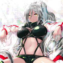 This is a pixiv picture whose title is シュヴァルツ.