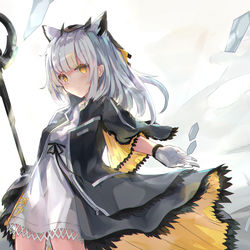 This is a pixiv picture whose title is フィリオプシス.