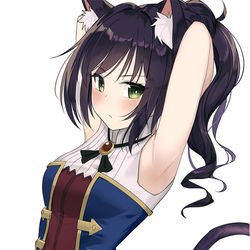 This is a pixiv picture whose title is キャル.