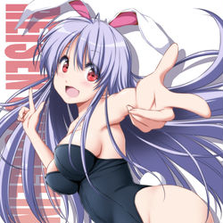 This is a pixiv picture whose title is うどんげさん.