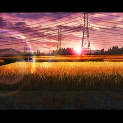 This is a pixiv picture whose title is 夕暮れの稲田.