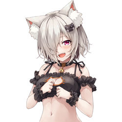 This is a pixiv picture whose title is 猫下着くおんちゃん.