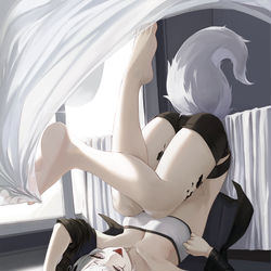 This is a pixiv picture whose title is 拉普兰德(ラップランド).