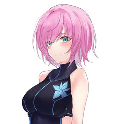This is a pixiv picture whose title is 未来人.