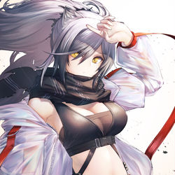 This is a pixiv picture whose title is シュヴァルツ.