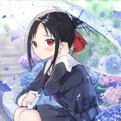 This is a pixiv picture whose title is かぐや様.
