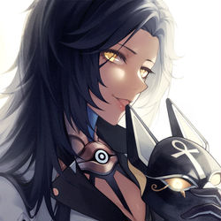 This is a pixiv picture whose title is Jackal.
