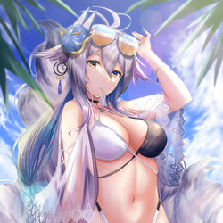 This is a pixiv picture whose title is 水着土佐.